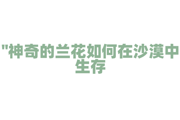 "神奇的兰花如何在沙漠中生存？"